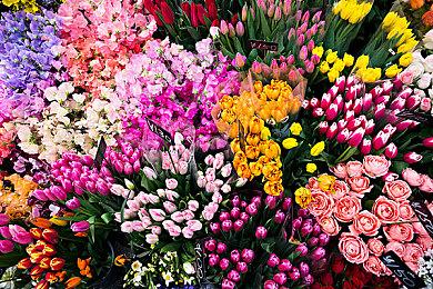 暴雪创始人新公司Dreamhaven首款作品即将推出